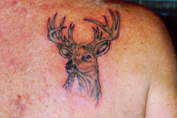 Nature & Animal Tattoos